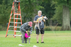 Whippet Finals