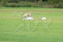 20260920-GVFRRC-AKC-LC-201