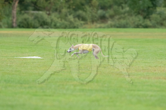 20260920-GVFRRC-AKC-LC-208