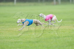 20260920-GVFRRC-AKC-LC-53