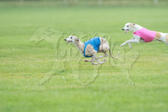 20260920-GVFRRC-AKC-LC-55