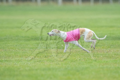 20260920-GVFRRC-AKC-LC-58