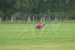 20260920-GVFRRC-AKC-LC-64
