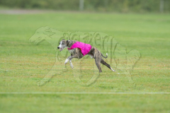 20260920-GVFRRC-AKC-LC-67