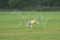 20260920-GVFRRC-AKC-LC-75