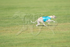 20260919-GVFRRC-AKC-LC-150