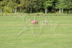 20260919-GVFRRC-AKC-LC-152