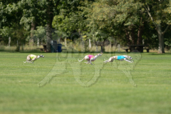 20260919-GVFRRC-AKC-LC-158