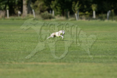 20260919-GVFRRC-AKC-LC-160