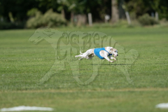20260919-GVFRRC-AKC-LC-166