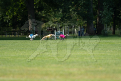 20260919-GVFRRC-AKC-LC-167