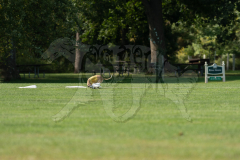 20260919-GVFRRC-AKC-LC-174