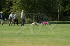 20260919-GVFRRC-AKC-LC-175