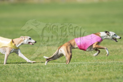 20260919-GVFRRC-AKC-LC-179