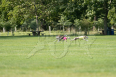20260919-GVFRRC-AKC-LC-182