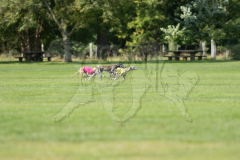 20260919-GVFRRC-AKC-LC-184