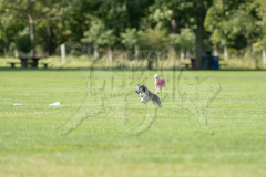 20260919-GVFRRC-AKC-LC-187