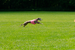 20240526-MemDayWknd-611