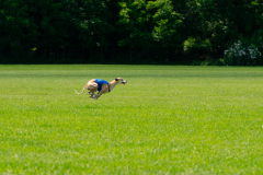 20240526-MemDayWknd-618