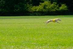 20240526-MemDayWknd-622