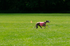 20240526-MemDayWknd-626