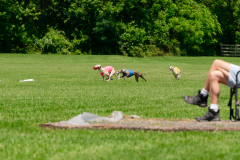 20240526-MemDayWknd-629