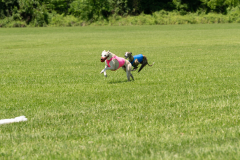 20240526-MemDayWknd-634-2