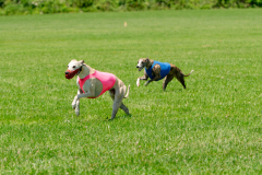 20240526-MemDayWknd-635