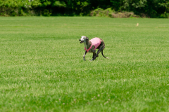 20240526-MemDayWknd-639