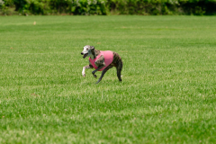 20240526-MemDayWknd-640