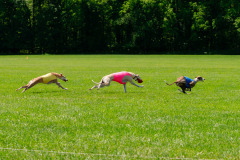 20240526-MemDayWknd-642