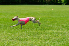 20240526-MemDayWknd-649