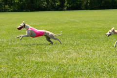 20240526-MemDayWknd-650-2