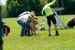 20240526-MemDayWknd-651