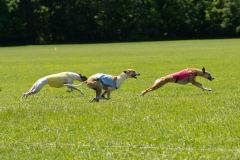 20240526-MemDayWknd-654-2