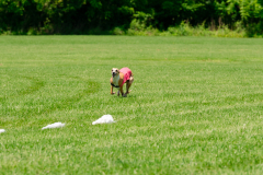 20240526-MemDayWknd-659