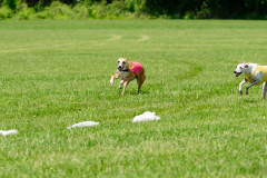 20240526-MemDayWknd-660