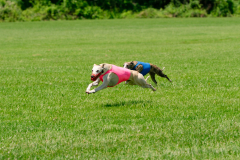 20240526-MemDayWknd-673