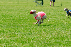 20240526-MemDayWknd-674