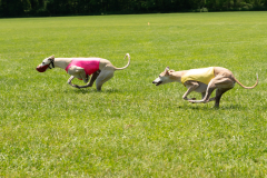 20240526-MemDayWknd-677-2