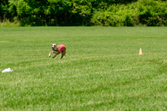 20240526-MemDayWknd-684