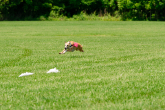 20240526-MemDayWknd-685