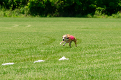 20240526-MemDayWknd-686