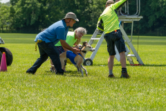 20240526-untitled-888