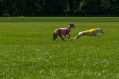 20240526-untitled-889