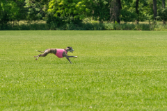 20240526-untitled-893