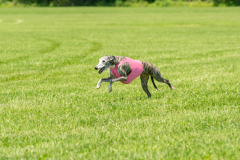 20240526-untitled-903