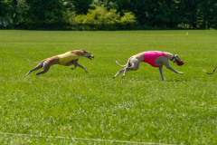 20240526-untitled-907