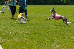 20240526-untitled-908