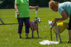 20240526-untitled-910